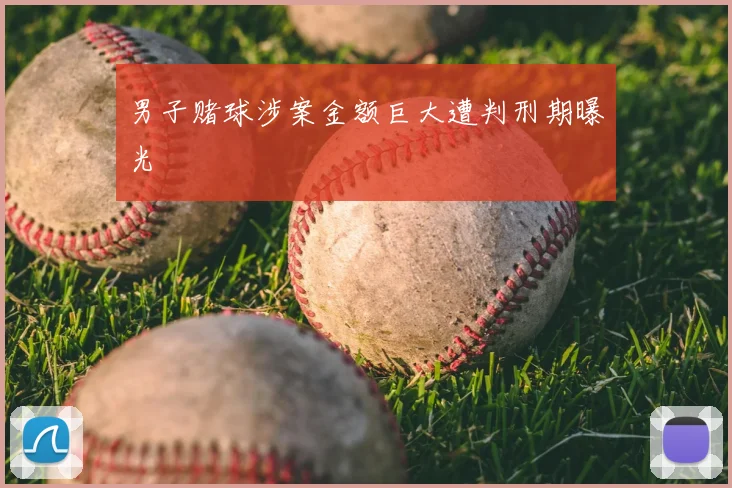 男子赌球涉案金额巨大遭判刑期曝光