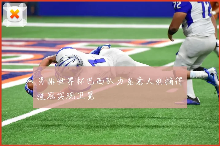 男排世界杯巴西队力克意大利摘得桂冠实现卫冕