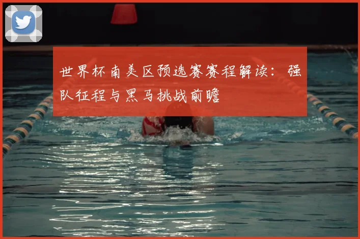 世界杯南美区预选赛赛程解读：强队征程与黑马挑战前瞻